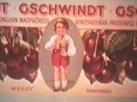  A múlt ipari értékeinek megőrzése - Élet a Nagykőrösi Konzervgyárban 1965-90-ig DVD-n