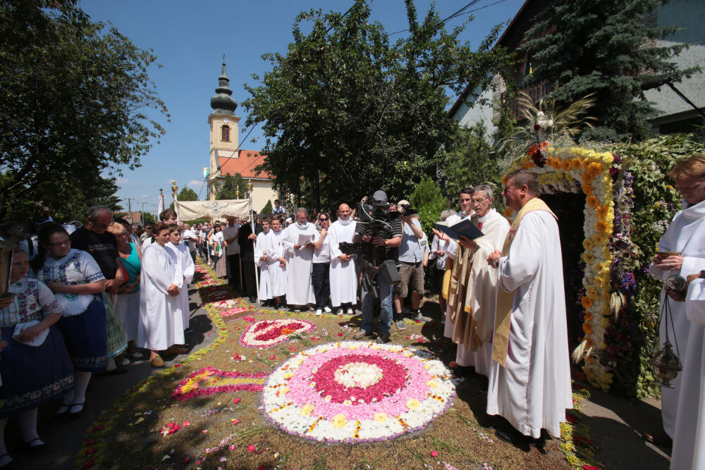 csomor viragszonyeg