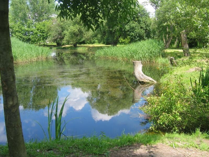 gerje patak