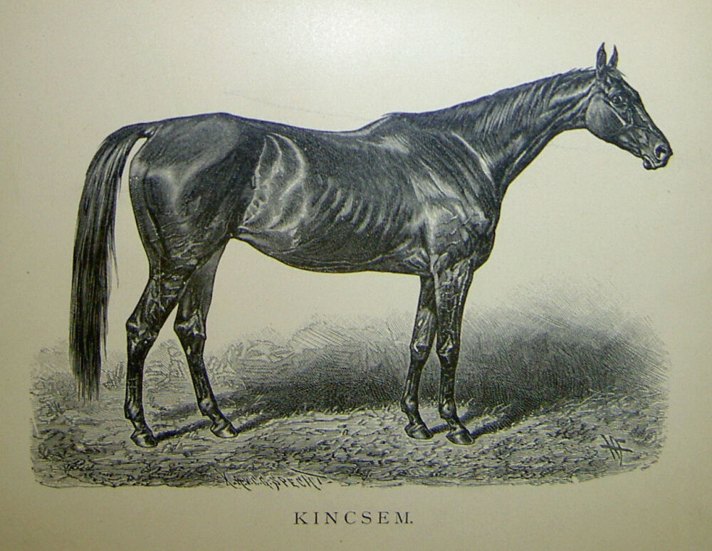 kincsem