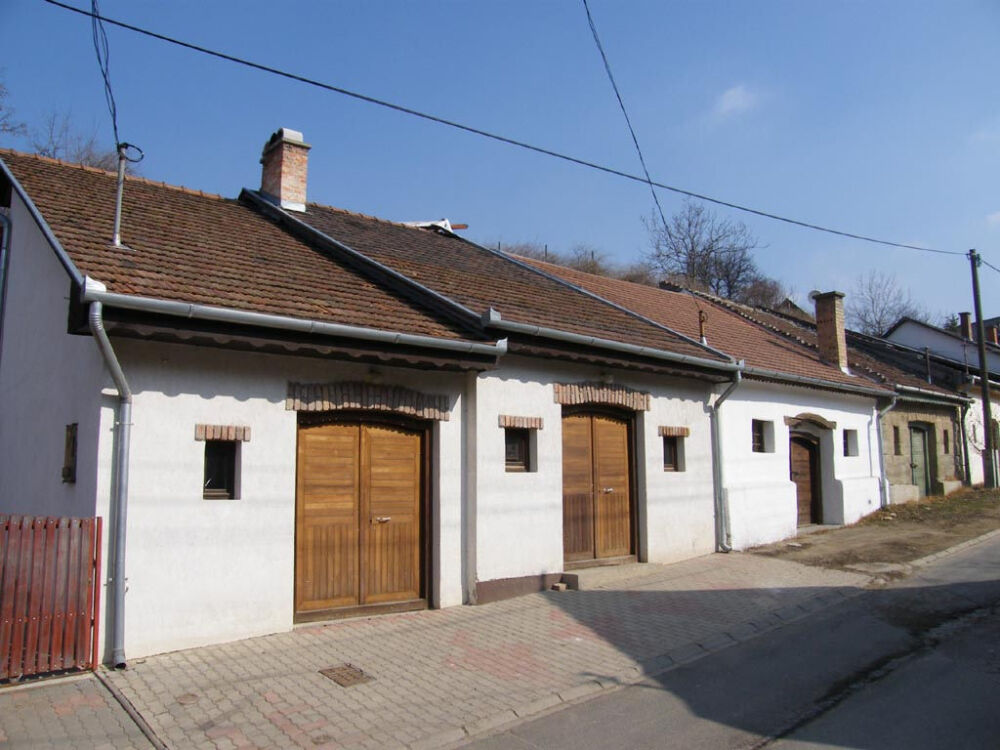 mogyorod pincesor