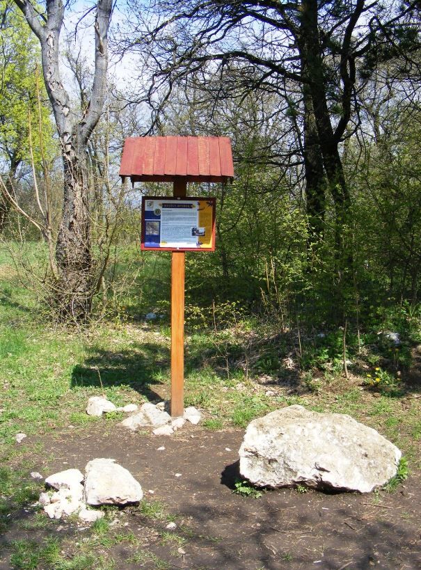 pilisborojeno tanosveny