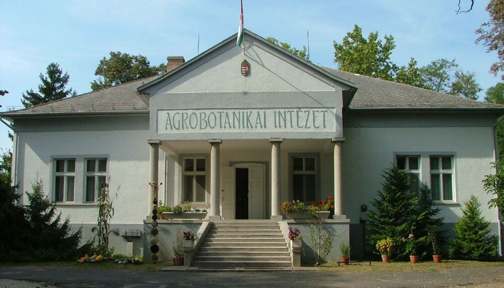 tapioszele szelenyi kuria