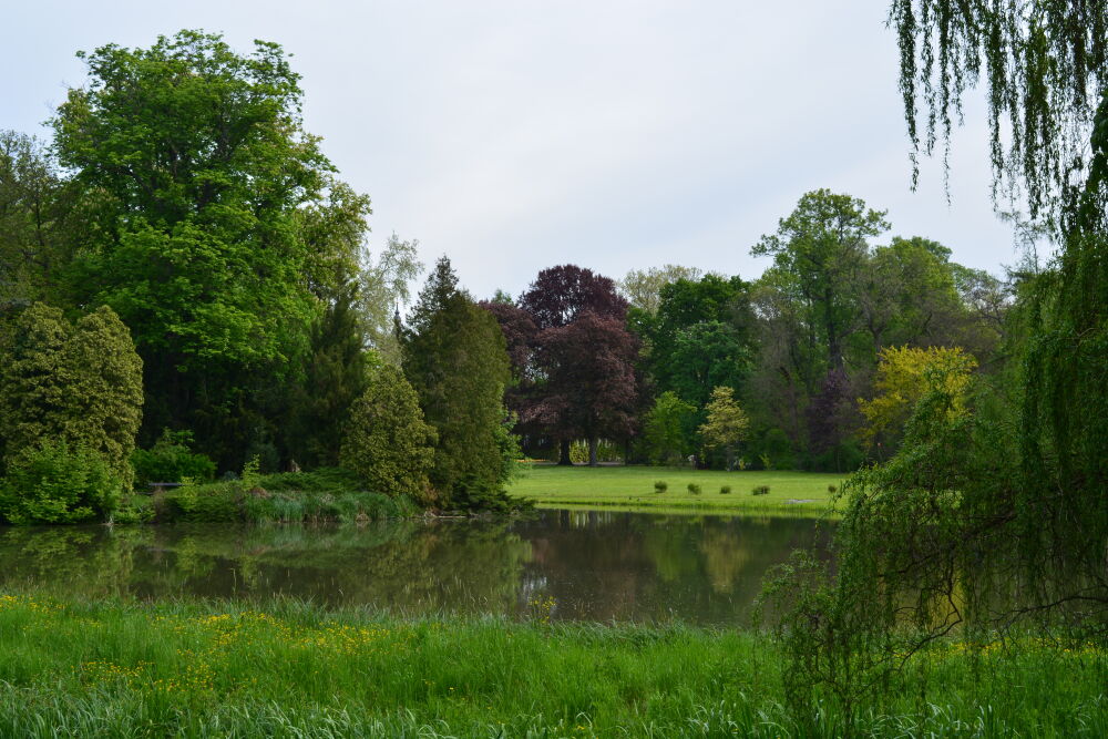 vacratot21